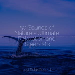 50 Sounds of Nature - Ultimate Relaxation and Sleep Mix - Instrumental
