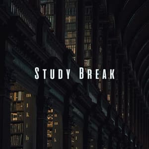 Study Break: Calming Meditation Melodies - Study Music Experience