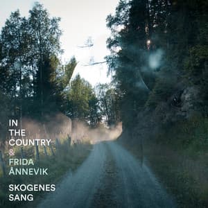 Skogenes sang - In The Country