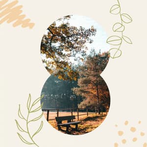 Background Music - Calming Moments - Reading Music Playlist