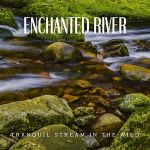 Enchanted River Streams: A Symphony of Nature - Nature Calm