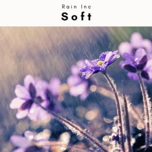 2022 Soft - Rain Inc