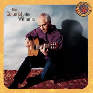 The Guitarist - John C. Williams