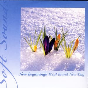 New Beginnings: It's A Brand New Day - Soft Sounds