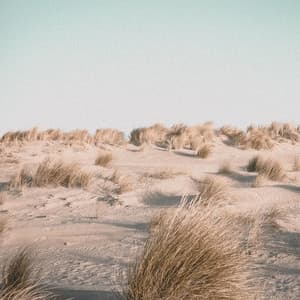 Meditation Music - Sonidos de lluvia para dormir