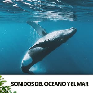 Sonidos del Oceano y el Mar: Ballenatos - Dog Relaxation
