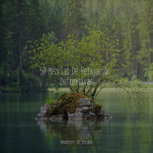 50 Mezclas De Relajación Definitivas - Rockabye Lullaby