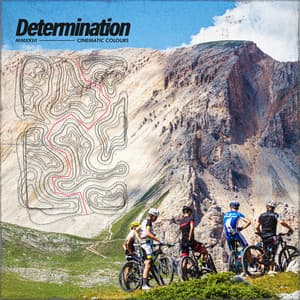 Determination - Sounds of the Forest