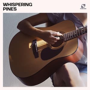 Whispering Pines - Classical Jazz Guitar Club