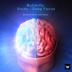 Concentration and Focus - Butterfly Study – Deep Focus