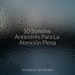 50 Sonidos Antiestrés Para La Atención Plena - Naturaleza Sonidos
