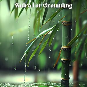 Nidra for Grounding: Yoga Nidra for Better Sleep & Relaxation - Kundalini Yoga Group