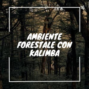 Ambiente forestale con kalimba - Musica Curativa Club