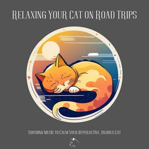 Relaxing Your Cat On Road Trips - Relax Your Cat