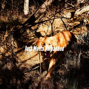Jazz Mutts Unleashed - Dog Music Radio