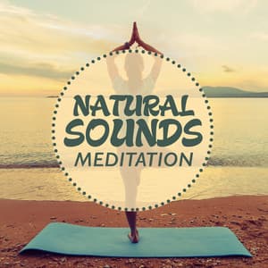 Natural Sounds Meditation - Nature Sounds Meditation