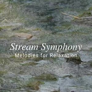 Stream Symphony: Melodies for Relaxation - Calming Beats