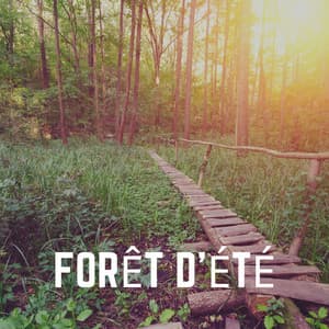 Forêt D'été - Sons de la nature