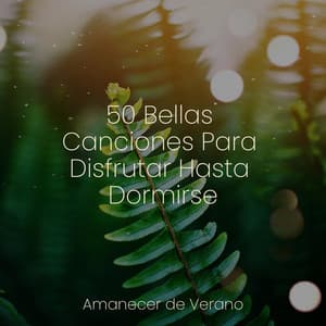 50 Bellas Canciones Para Disfrutar Hasta Dormirse - Canciones de Cuna para Bebés Acadèmico