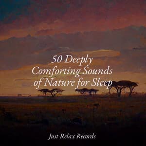 50 Deeply Comforting Sounds of Nature for Sleep - Sleepy Night Music