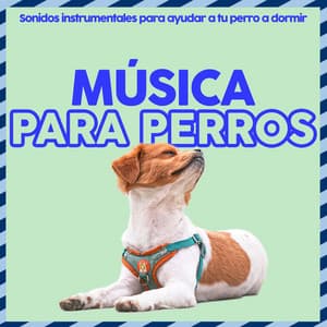 Música Para Perros - Sonidos Instrumentales Para Ayudar a Tu Perro a Dormir - Relaxmydog