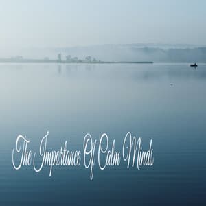 The Importance Of Calm Minds - Sleeping Music