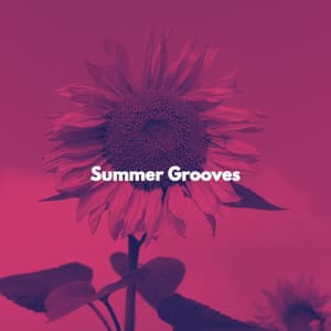 Summer Grooves - Instrumental Lobby Music