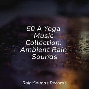 50 A Yoga Music Collection: Ambient Rain Sounds - Musica para Bebes