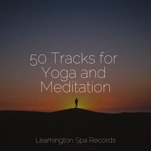 50 Tracks for Yoga and Meditation - Regen zum Schlafen
