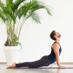 Reflective Jazz Piano Serenity: Mindful Yoga Moments - Calm Piano Music