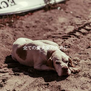 全ての愛犬家のために - Reading Music Deluxe