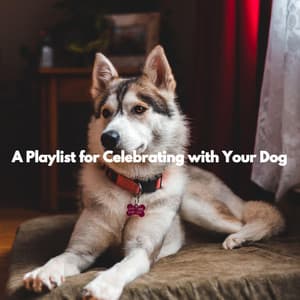 A Playlist for Celebrating with Your Dog - Elegante Música para Restaurantes