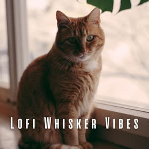 Lofi Whisker Vibes: Chill Melodies for Cat Lovers - Beards Are Better