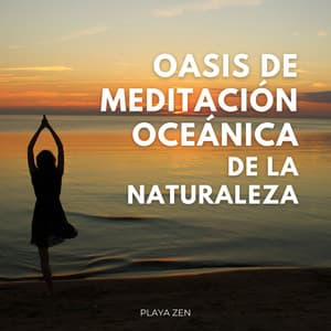 Oasis De Meditación Oceánica De La Naturaleza: Playa Zen - Terrícola