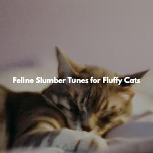 Feline Slumber Tunes for Fluffy Cats - Jazz Instrumentals for Reading
