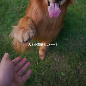犬との素晴らしい一日 - Breakfast Jazz Playlist