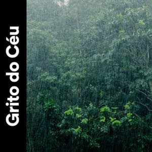 Grito do Céu - Sons da natureza HD