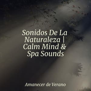 Sonidos De La Naturaleza | Calm Mind & Spa Sounds - Musica Para Dormir y Sonidos de la Naturaleza