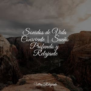 Sonidos de Vida Consciente | Sueño Profundo y Relajante - Piano Suave Relajante