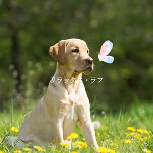 リラックス・ラフ - Bossa Cafe Deluxe