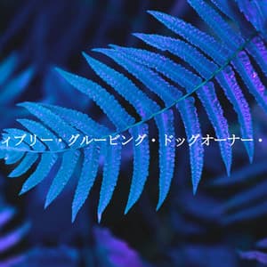 パウジティブリー・グルービング・ドッグオーナー・チューン - Study Playlist