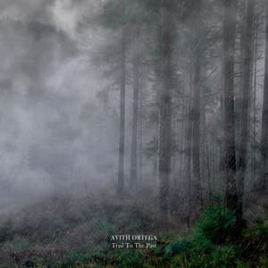 Trail to the Past - Avith Ortega