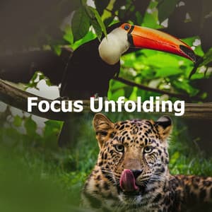 Focus Unfolding - Concentracion Examenes