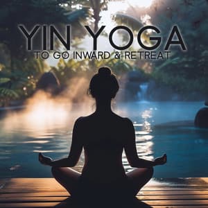 Yin Yoga To Go Inward & Retreat: Lazy Yin Yoga for Energy Depletion, Burnout and Mental Health - Alisa Woody