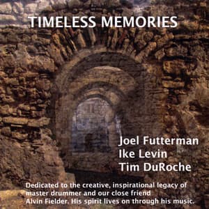 Timeless Memories - Joel Futterman