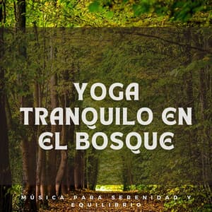 Yoga Tranquilo en el Bosque: Música para Serenidad y Equilibrio - El colectivo de la selva tropical
