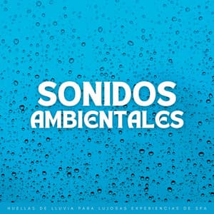 Sonidos Ambientales: Huellas De Lluvia Para Lujosas Experiencias De Spa - Efectos especiales de sonidos de lluvia
