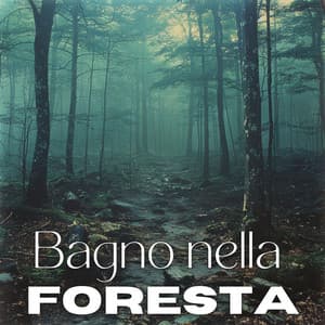 Bagno nella foresta: Musica di meditazione giapponese e immersione nella natura, Ambiente Shinrin-Yoku - Relax accademia di benessere