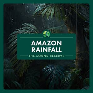 Amazon Rainfall - The Sound Reserve