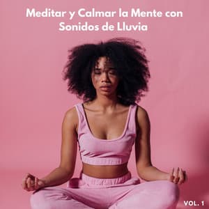 Meditar Y Calmar La Mente Con Sonidos De Lluvia Vol. 1 - Fabricantes de lluvia suave